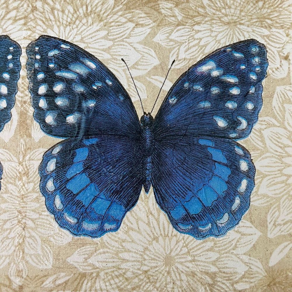Blue Double Butterfly Large Rectangle Shadow Box